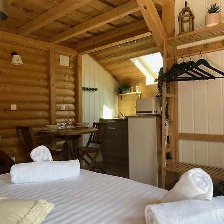 Apartment Studio Cocooning Cledicihome Parking Prive Centre Gérardmer