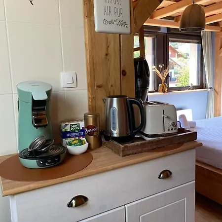 Apartment Studio Cocooning Cledicihome Parking Prive Centre Gérardmer