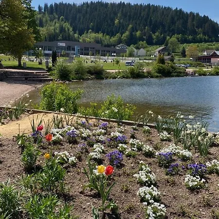 Studio Cocooning Cledicihome Parking Prive Centre Gérardmer