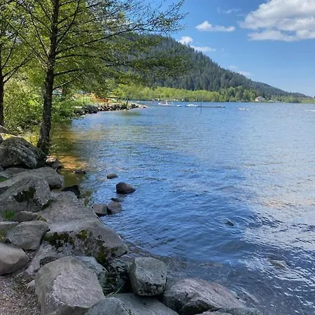 Studio Cocooning Cledicihome Parking Prive Centre * Gerardmer