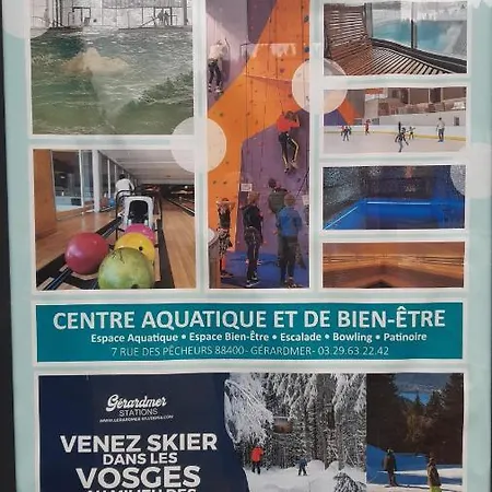 Apartment Studio Cocooning Cledicihome Parking Prive Centre Gerardmer